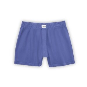 NWOT Pleasing Sleepover Short in Washed Ink